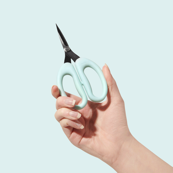sohmo go to scissors medium 10