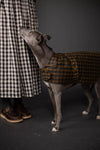 Dog wearing a plaid coat standing next to a person in a checkered skirt on a dark background